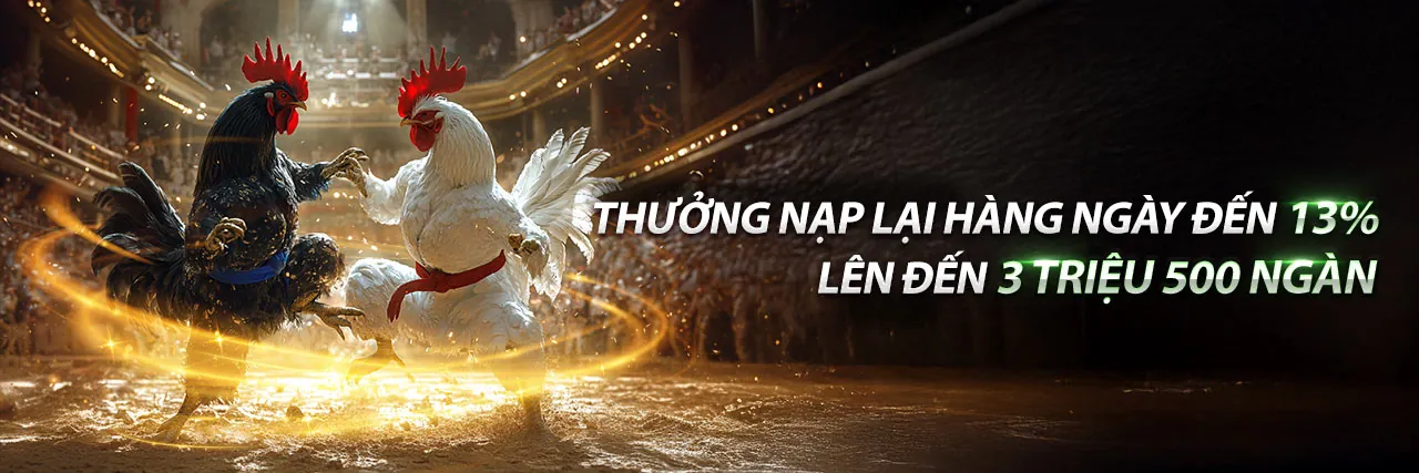 Đá gà trực tuyến Mbet – Trải nghiệm cá cược đỉnh cao với các trận đấu kịch tính